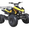 Tonga 125cc Kids Sport ATV, 8-inch Wheels, Automatic with Reverse, Ages 8 and up - Yellow