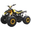 Tonga 125cc Kids Sport ATV, 8-inch Wheels, Automatic with Reverse, Ages 8 and up - Yellow