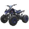 Tonga 125cc Kids Sport ATV, 8-inch Wheels, Automatic with Reverse, Ages 8 and up - Yellow