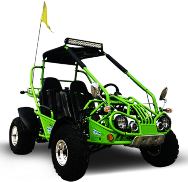TrailMaster 200 XRX Deluxe Buggy Go Kart, Alloy Wheels, Lights, Turn Signals - Green