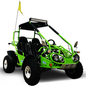 trailmaster-200-xrx-deluxe-buggy-go-kart-alloy-wheels-lights-turn-signals-green