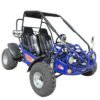 TrailMaster 200E XRS EFI Go Kart (Special) CVT Auto with Reverse - Blue