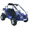 TrailMaster 300 XRX-E Dune Buggy Go Kart, EFI Fuel Injected, Liquid Cooled, Shaft Drive, Alloy Wheels - Blue