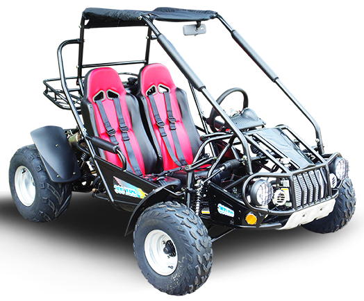 TrailMaster 300E XRS (EFI) Dune Buggy Go Kart, Liquid Cooled, Chain Drive - Red
