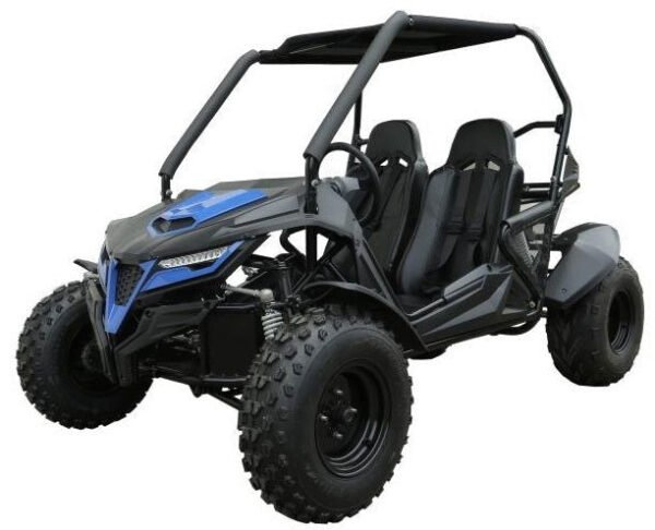 TrailMaster Cheetah 200 Full Size Buggy Go Kart, CVT Automatic with Reverse - Red