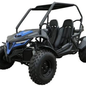 trailmaster-cheetah-200e-efi-buggy-go-kart-cvt-automatic-with-reverse-blue