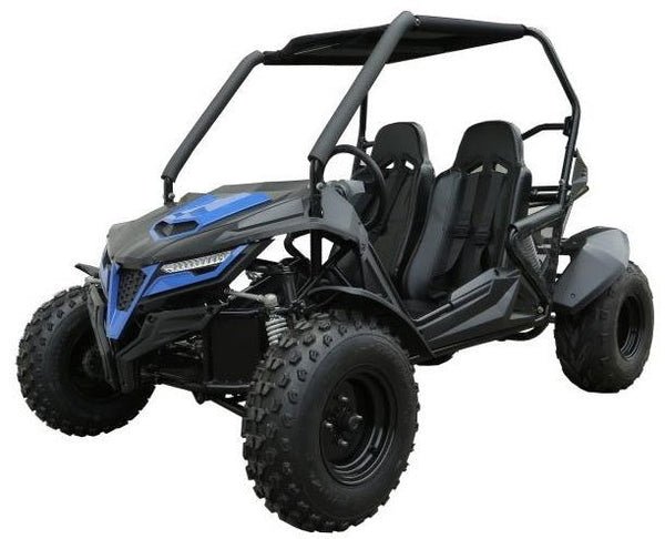 TrailMaster Cheetah 200E EFI Buggy Go Kart, CVT Automatic with Reverse - Blue