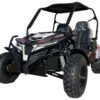 TrailMaster Cheetah 300E EFI UTV Go Kart, Shaft Drive, Liquid Cooled CVT Auto with Reverse - Red