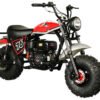 TrailMaster Hurricane 200X Mini Bike, 196cc 6.5 HP with Torque Converter, Dual Disc Brake, Front & Rear Suspension - Black