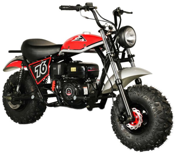 TrailMaster Hurricane 200X Mini Bike, 196cc 6.5 HP with Torque Converter, Dual Disc Brake, Front & Rear Suspension - Black