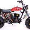 TrailMaster Hurricane 200X Mini Bike, 196cc 6.5 HP with Torque Converter, Dual Disc Brake, Front & Rear Suspension - Black