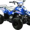 TrailMaster Mini Sport ATV 110, Gas Engine with Remote Start/Kill, Speed Governor, 6-inch Wheels, Kids Ages 4-9 - Blue