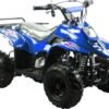 TrailMaster Mini Sport ATV 110, Gas Engine with Remote Start/Kill, Speed Governor, 6-inch Wheels, Kids Ages 4-9 - Blue