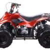 TrailMaster Mini Sport ATV 110, Gas Engine with Remote Start/Kill, Speed Governor, 6-inch Wheels, Kids Ages 4-9 - Blue
