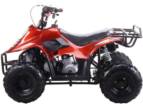TrailMaster Mini Sport ATV 110, Gas Engine with Remote Start/Kill, Speed Governor, 6-inch Wheels, Kids Ages 4-9 - Blue