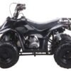 TrailMaster Mini Sport ATV 110, Gas Engine with Remote Start/Kill, Speed Governor, 6-inch Wheels, Kids Ages 4-9 - Blue