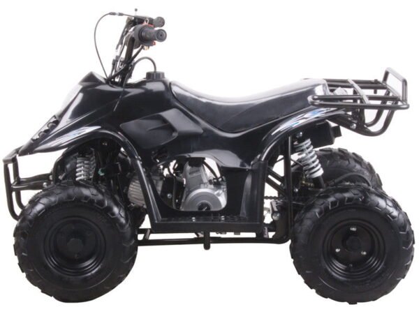 TrailMaster Mini Sport ATV 110, Gas Engine with Remote Start/Kill, Speed Governor, 6-inch Wheels, Kids Ages 4-9 - Blue