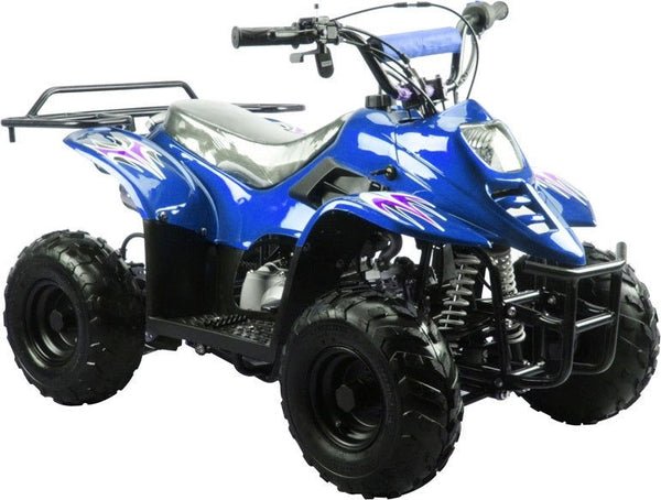 TrailMaster Mini Sport ATV 110, Gas Engine with Remote Start/Kill, Speed Governor, 6-inch Wheels, Kids Ages 4-9 - Blue
