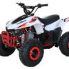 TrailMaster Mini Sport N110 ATV, Automatic with Reverse, 7 inch Wheels, Ages 8 and up - Red