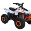TrailMaster Mini Sport N110 ATV, Automatic with Reverse, 7 inch Wheels, Ages 8 and up - Red