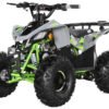 TrailMaster R125 125cc Sport ATV, Automatic with Reverse, 7-inch Wheels, Ages 9-12 - Green