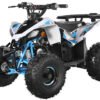 TrailMaster R125 125cc Sport ATV, Automatic with Reverse, 7-inch Wheels, Ages 9-12 - Green