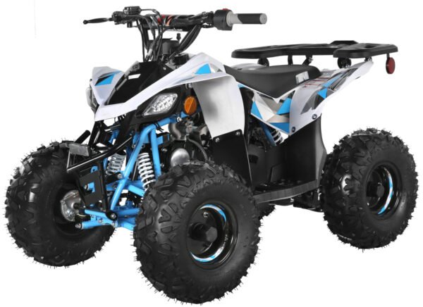 TrailMaster R125 125cc Sport ATV, Automatic with Reverse, 7-inch Wheels, Ages 9-12 - Green