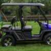 TrailMaster Taurus 450GX Gas Golf Cart, 26hp EFI Engine, 2x4/4x4 H/L Gear with Locking Differential - Green