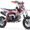 TrailMaster TM10 110cc Dirt Bike 4-Speed Auto Clutch, Dual Disc (10/10), Ages 8-12 - Green