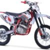 TrailMaster TM31 250cc Dirt Bike 5-Speed Manual Dual Disc Brakes, Electric Start with Kick backup (19/16) - Green