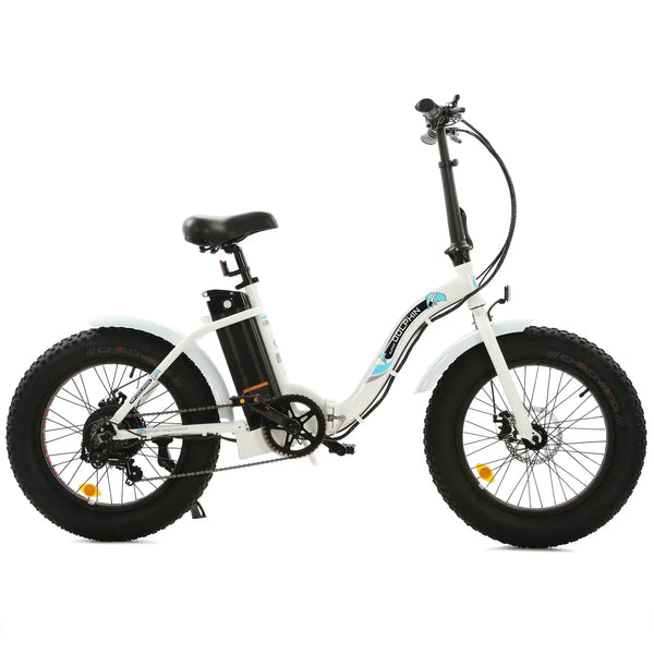 UL Certified - Ecotric Dolphin 36V 500W Portable Folding Fat Tire Electric Bike