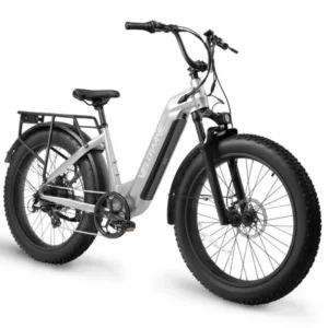 velowave-ranger-2-0-step-thru-750w-48v-fat-tire-electric-bike