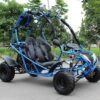 Venom 110cc Go Kart DF125GKA | Automatic