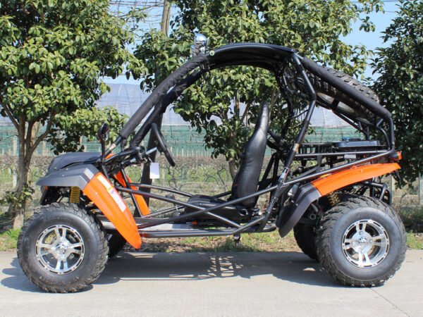 Venom Bolt Go Kart | 2 Seater | 200cc | Automatic + Reverse