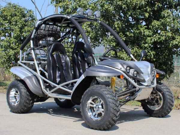 Venom Bolt Go Kart | 2 Seater | 200cc | Automatic + Reverse
