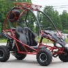 Venom Falcon 110cc Go Kart | DF125GKS | Automatic