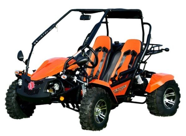 Venture 200 EFI Buggy Go Kart, Electric Start, Automatic with Reverse, Ages 16 and up - Red