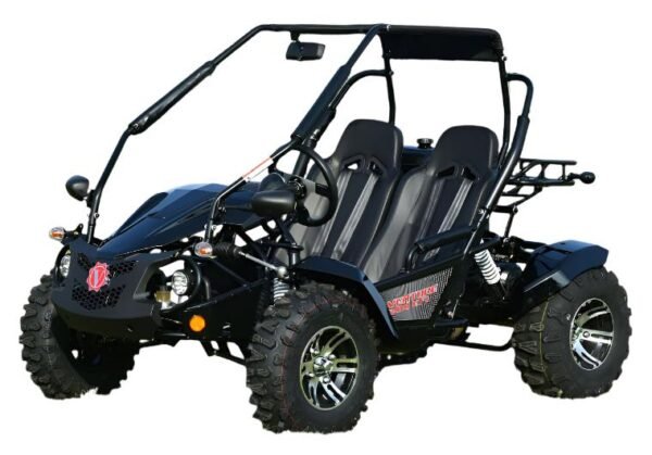 Venture 200 EFI Buggy Go Kart, Electric Start, Automatic with Reverse, Ages 16 and up - Red