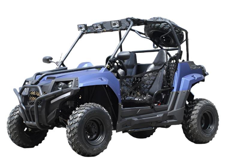 Victory 200 UTV Side-by-Side, Electric Start, Automatic with Reverse, Ages 16 and up - Red