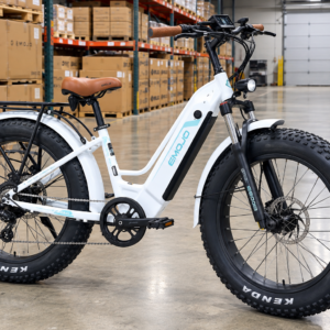 Emojo Breeze Pro 750W Fat Tire Electric Bike